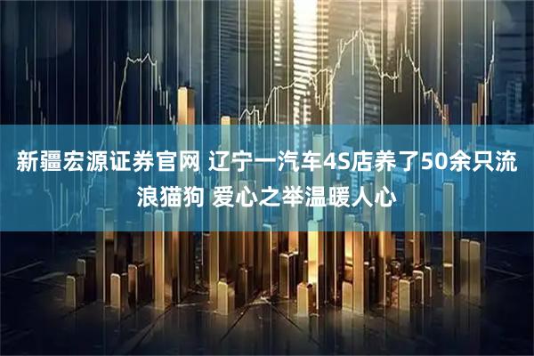 新疆宏源证券官网 辽宁一汽车4S店养了50余只流浪猫狗 爱心之举温暖人心