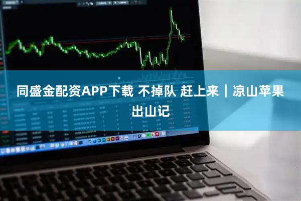 同盛金配资APP下载 不掉队 赶上来｜凉山苹果出山记