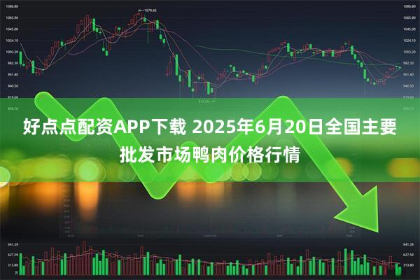好点点配资APP下载 2025年6月20日全国主要批发市场鸭肉价格行情